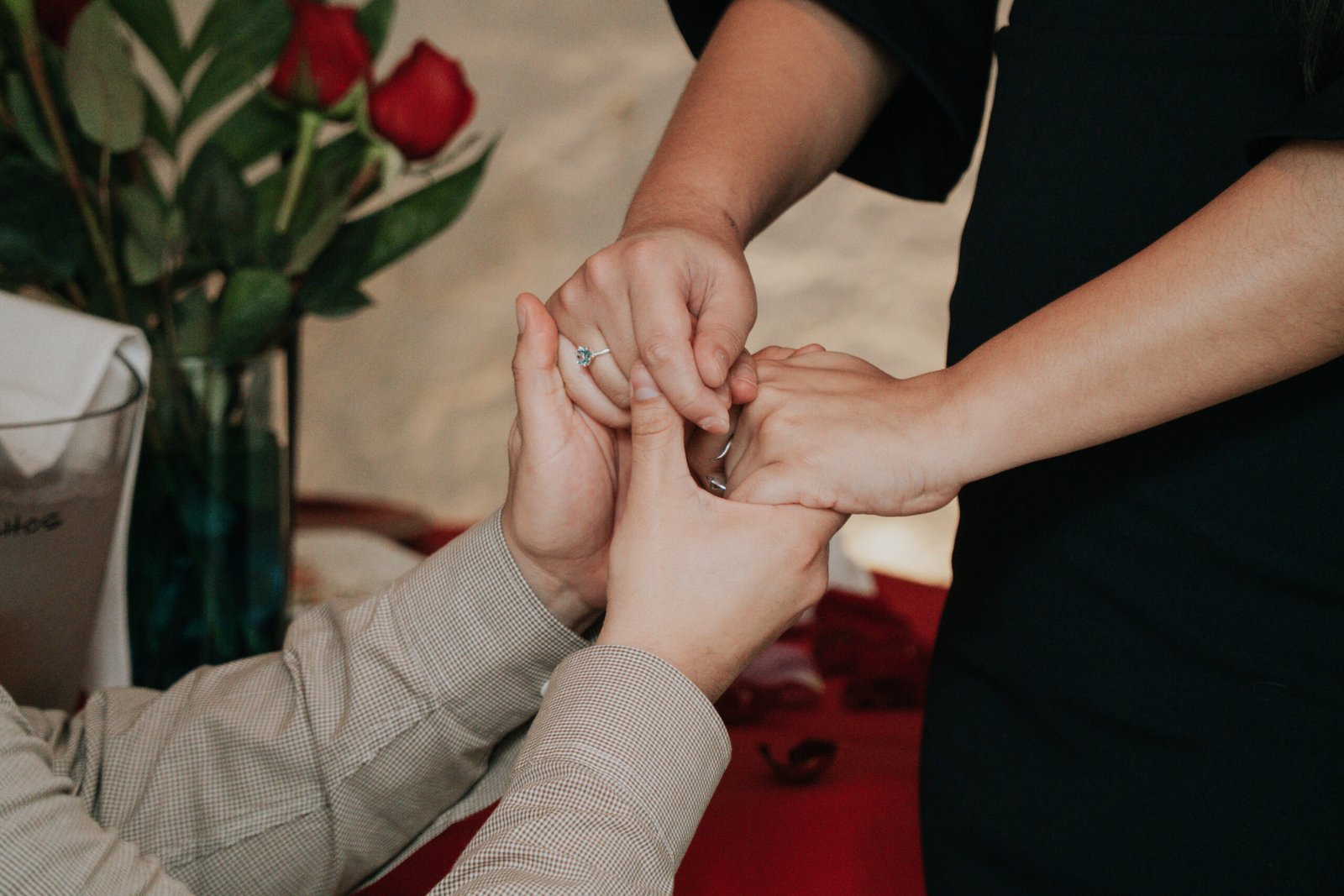 portafolio 2 dsc01531